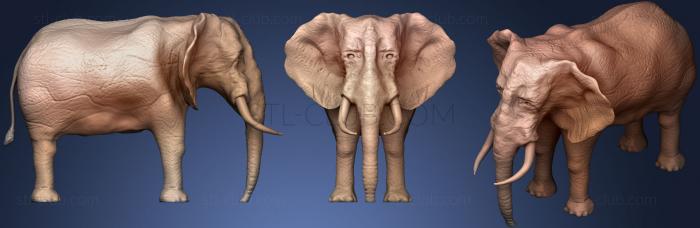 3D model Elephant (2) (STL)